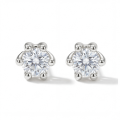 Zephyra - Elegant Screwback Moissanite Stud Earrings