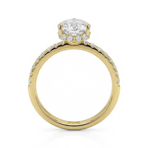 Amoretta - Heart Cut Moissanite Engagement Ring With Pavé Shoulders