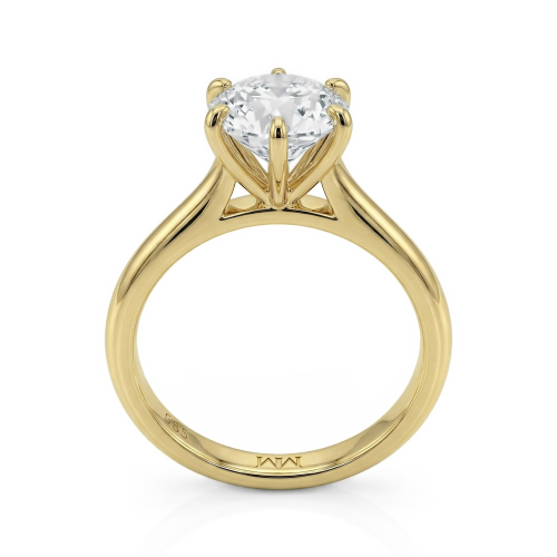 Circlique - Solitaire Moissanite Engagement Ring
