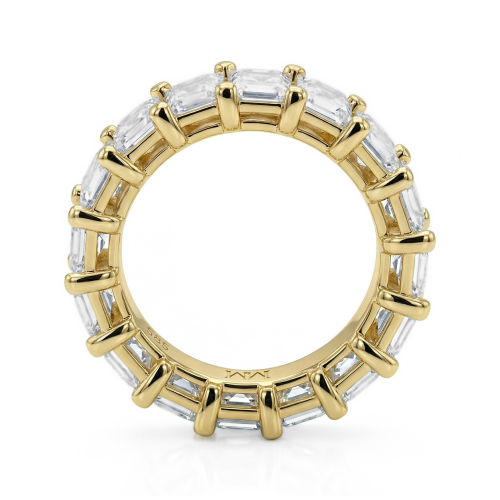 Eterna - Emerald Cut Moissanite Eternity Ring