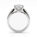 Sylphie - Moissanite Engagement Ring With Double Side Stones