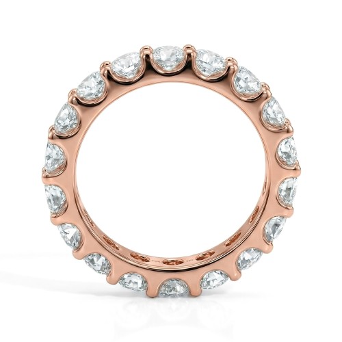 Evertina - Moissanite Eternity Ring