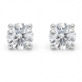 Nova - Moissanite Stud Earrings