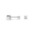 Nova - Moissanite Stud Earrings