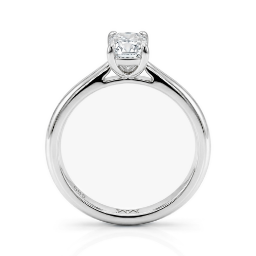 Nova - Moissanite Stud Earrings