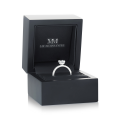 Astra - Moissanite Ring with Pavé Side Stones & Hidden Halo