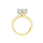 Amorelle - Heart Cut Moissanite Engagement Ring with Hidden Halo
