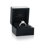 Lustrella - Moissanite Halo Engagement Ring with Pavé Band