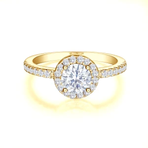 Dynara - Moissanite Engagement Ring with Halo and Pavé Band